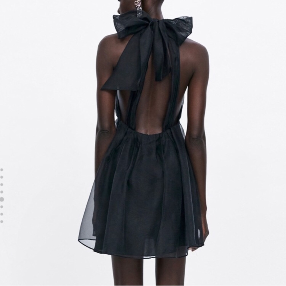 Zara Black Organza Dress - Picture 5 of 8